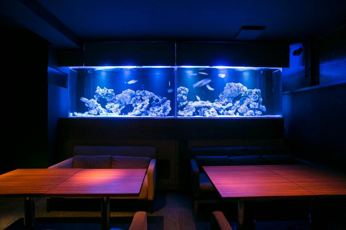 akivic AQUARIUM DINING